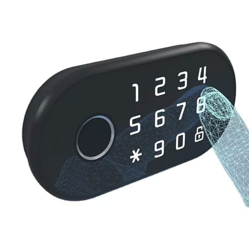 Elektrische van de het Slotrfid Kaart van Tuya Slimme het Wachtwoord Biometrische Vingerafdruk voor Kabinetslade