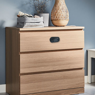 Elektrische van de het Slotrfid Kaart van Tuya Slimme het Wachtwoord Biometrische Vingerafdruk voor Kabinetslade